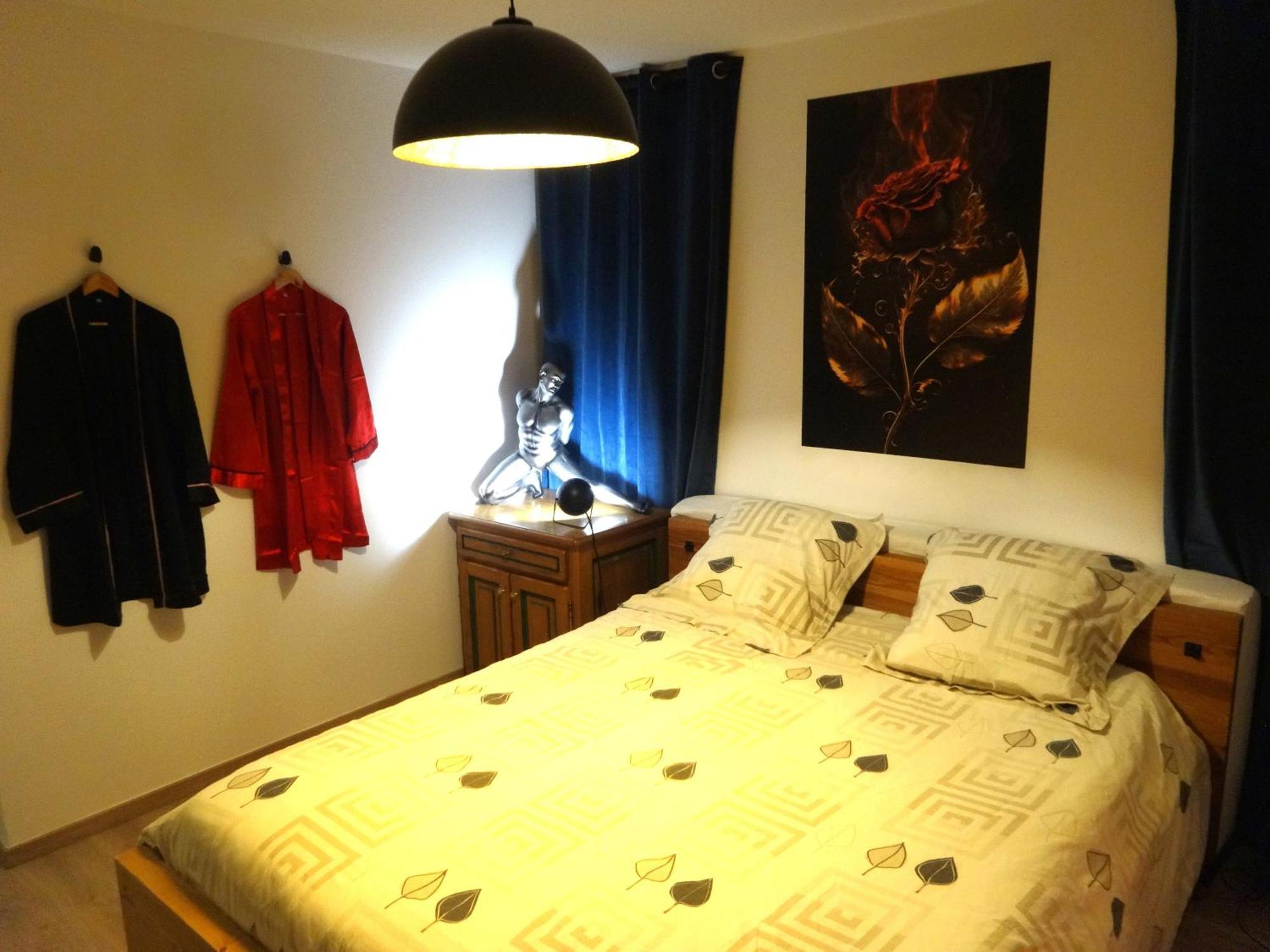 Ambiance Zen-coliving-teletravail Appartement Cesson-Sévigné